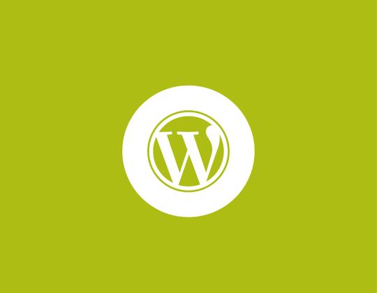 Développement WordPress sur mesure